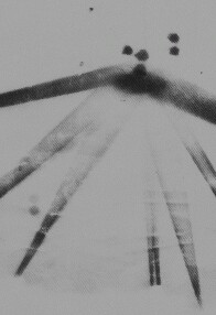 Negative of 1942 Culver City UFO
