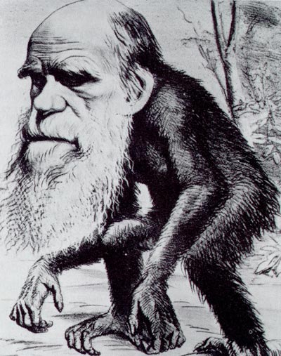Charles Darwin as an ape!