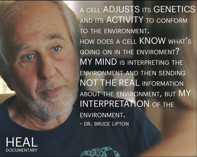 Dr. Bruce Lipton